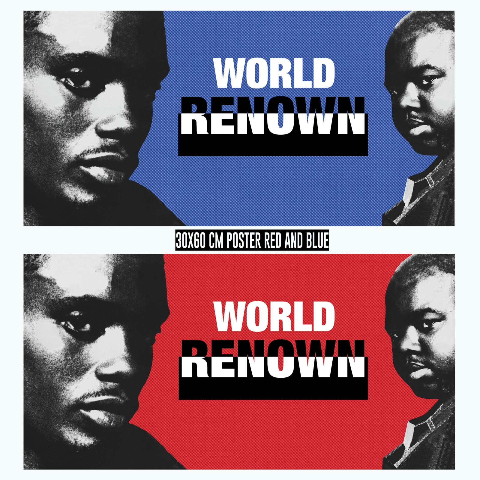 World Renown Vinyl